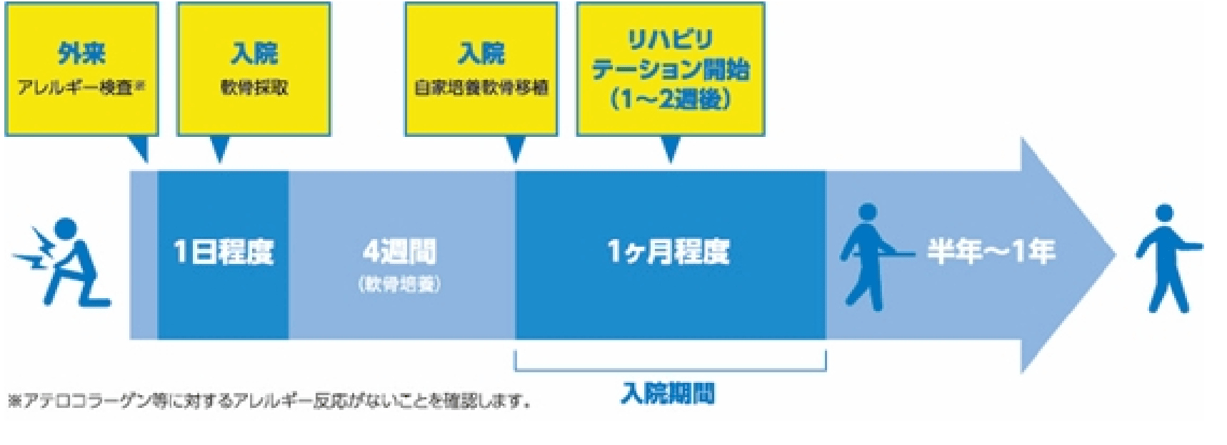 リハビリテーションについて